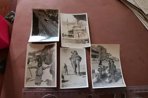 fünf tolle alte Reisefotos - Kairo, Madras, Puri, Tibet 1932/33