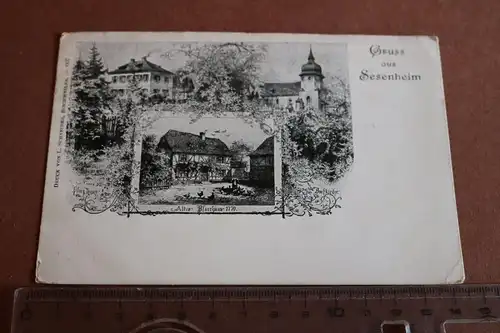 tolle alte Karte Gruß Sesenheim Elsaß 1908