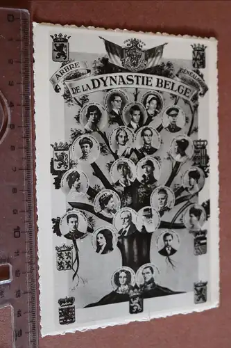 tolle alte Karte  Stammbaum de la Dynastie Belge  30-40er Jahre ?