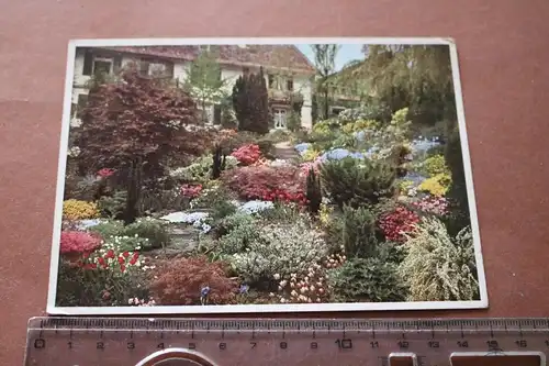 tolle alte Karte - Schaugarten der Firma Vogel-Hartweg, Baden-Baden (2) 1938 