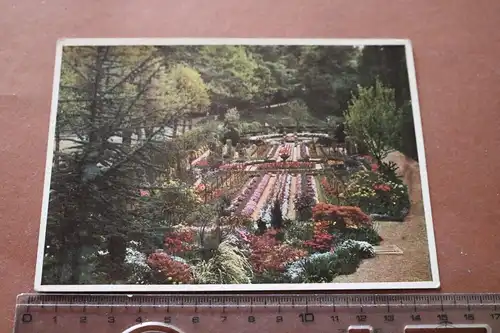 tolle alte Karte - Schaugarten der Firma Vogel-Hartweg, Baden-Baden 1938 