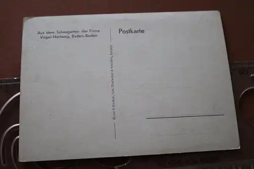 tolle alte Karte - Schaugarten der Firma Vogel-Hartweg, Baden-Baden 1938 