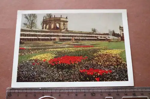 tolle alte Karte - Orangerie Bundesgartenschau Kassel 1955