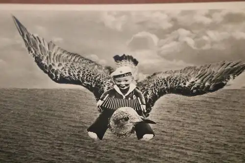 tolle alte Karte Gruß aus Stralsund Matrosenpuppe auf Möwe 