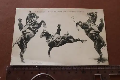 tolle alte Karte - Pferd, Reiter Kunsttücke - Saumur - Ecole de Cavalerie