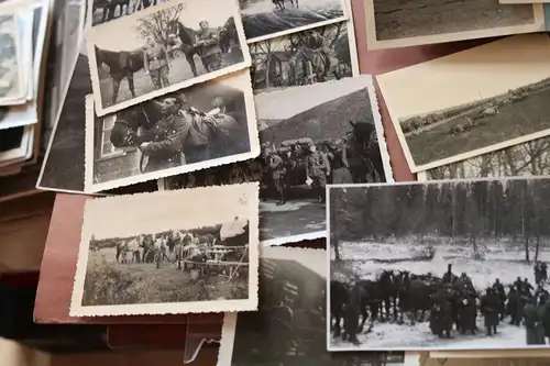 117 tolle alte Fotos - Soldat der Kavallerie - Pferde usw.