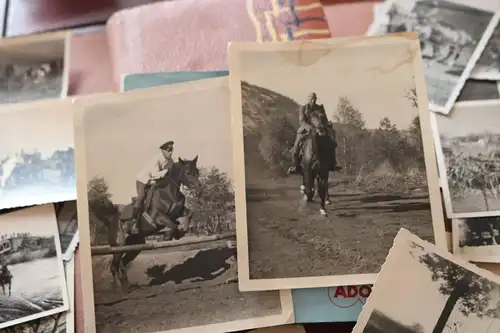 117 tolle alte Fotos - Soldat der Kavallerie - Pferde usw.