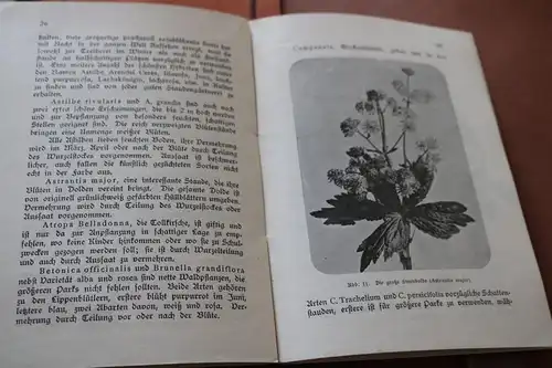 drei tolle alte Gartenbücher - Lehrmeister Bibliothek  1911 und anderes