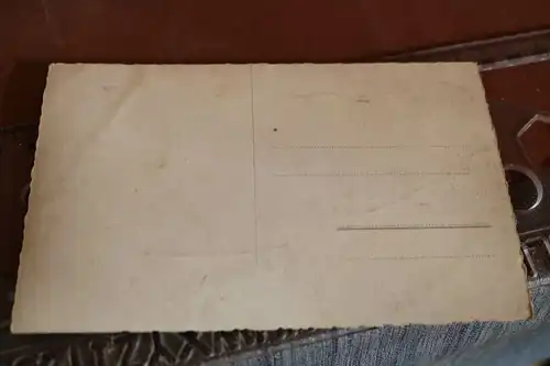 tolle alte Karte - Leitmeritz Ansicht, Raddampfer Leitmeritz   30-40er Jahre 