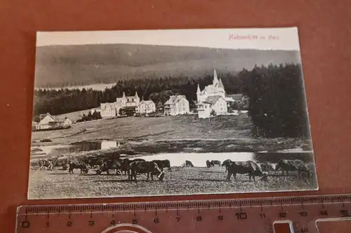 tolle alte Karte -  Hahnenklee im Harz  1910-20 ?