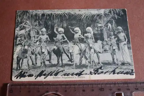 tolle alte Karte - Tierpark  Hagenbeck - Kinder auf Esel - Indien -  1906