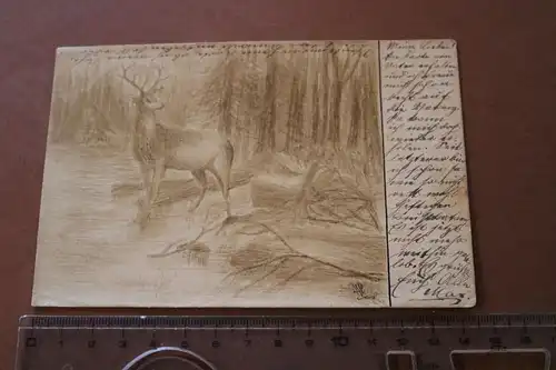 tolle alte Karte - Handskizze Hirsch im Wald - signiert - 1900-1910 ?