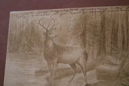 tolle alte Karte - Handskizze Hirsch im Wald - signiert - 1900-1910 ?