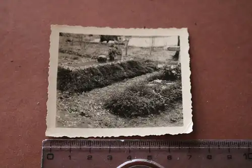 altes Foto - Soldatengrab  A.Str.Podschinki-Kowinowo-Rshew Dobraja b.Rshew