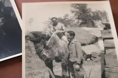 Topp Nachlass eines Soldaten Artillerie-Regiment 65 - 409 Fotos