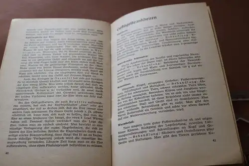 altes Heft - Praktische Kaninchen- und Hühnerhaltung  40-50er Jahre ?