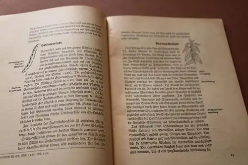 altes Heft - Gesundheit und Kraft durch Pflanzensaft  30-50er Jahre ?