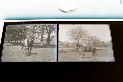 zwei tolle alte Glasnegative - Junge mit Pferd und Mann mit Pferd