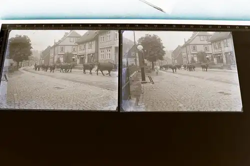 zwei tolle alte Glasnegative - Kühe laufen durch Ort - Shell Tanksäule, Polstere