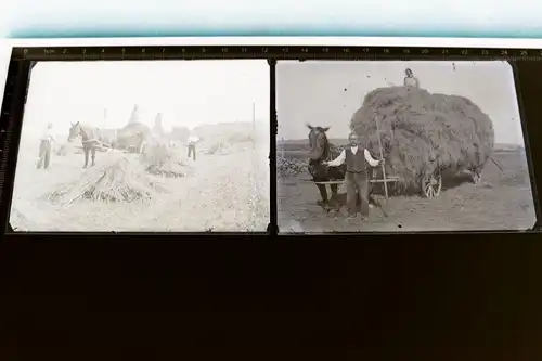 zwei tolle alte Glasnegative - Heuernte mit Pferdfuhrwagen 1910-30 ??