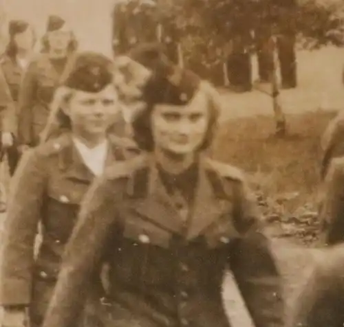 altes Foto Frauen in Uniform - Aufseherin ?  Marinehelferin ? Matrosen Hintergru