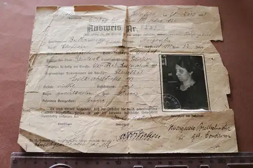 alter Ausweis für die Einreise in das besetzte Rhein u. Ruhrgebiet 1923 (1)