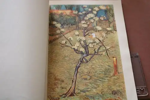 tolles altes Buch Vincent van Gogh, Blumen und Landschaften - Die Silbernen Büch