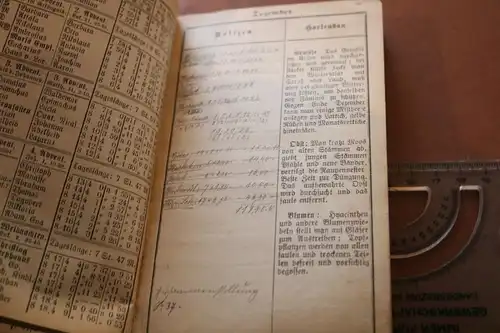 toller alter Einlagekalender - Elsaß-Lothringischer Lehrer-Kalender 1904 