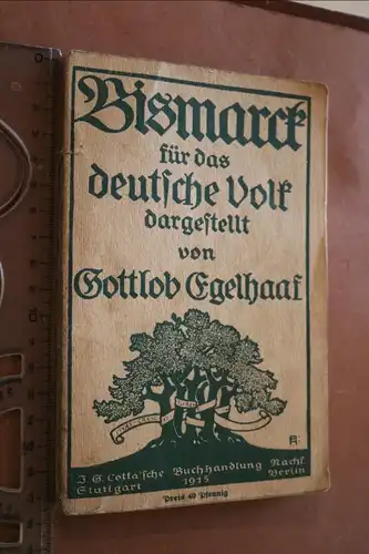 altes Buch - Bismarck für das deutsche Volk dargestellt von G. Egelhaaf 1915