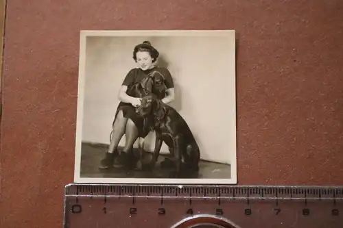 tolles altes Foto - hübsche Frau mit zwei Hunden - 30-50er Jahre