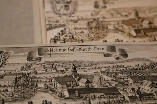 tolles altes Glasnegativ 13x18 - Ansicht  Schloß und Hoff March Bern 