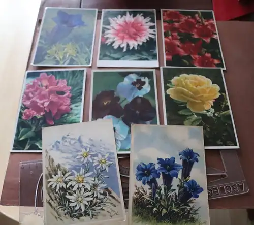 acht alte Postkarten mit Blumenmotive - Carl Werner und andere