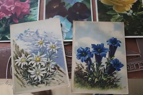 acht alte Postkarten mit Blumenmotive - Carl Werner und andere