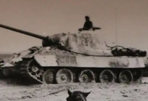 tolles altes Foto Kleinbildserie SdKfz Panther Panzer Turmnummer 522