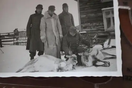 altes Foto - vier Gebirgsjäger mit Rentiere - Ort ?