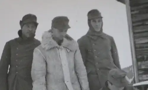 altes Foto - vier Gebirgsjäger mit Rentiere - Ort ?