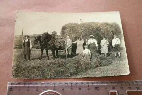 tolles altes Foto - Landwirtschaft früher - Heuernte mit Pferdefuhrwerk 1929