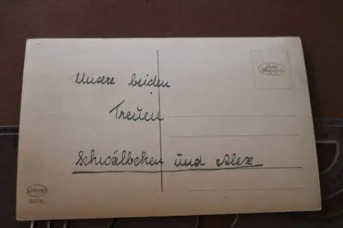 tolles altes Foto - zwei Pferde - Schwälbchen und Alex - Alter ?? 