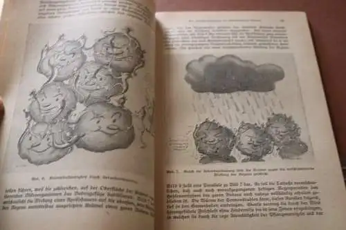tolles altes Buch - Selbstversorger-Gartenbau - Höchsterträge durch Mischkultur