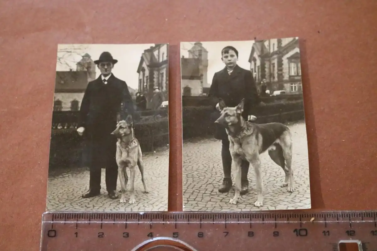 zwei tolle alte Fotos - Vater und Sohn mit deutschen Schäferhund 30-40er Jahre