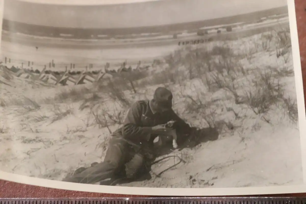 tolles altes Foto - Soldat mit Welpe am Strand - Panzersperren ? Ort ?