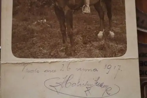 tolles altes Foto - Soldat KuK ??? 20er Jahre ?? Kavallerie - Decke 170 - 1917