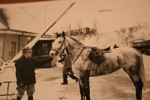 tolles altes Foto - Reiter mit seinem Pferd - Flensburg ?? 50-60er Jahre ?