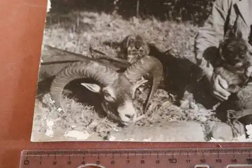 großes Foto - Jäger mit Dackel und erlegtem Wild