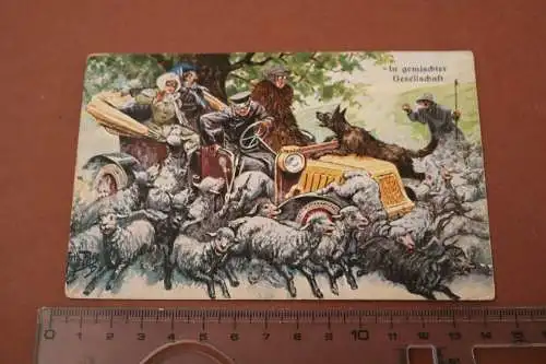tolle alte Karte - Oldtimer mit Insassen - Schafherde mit Schäfer 1915