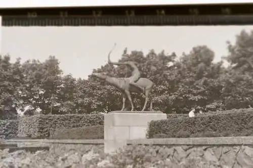 vier tolle alte Negative Hamburg Planetarium und Statuen Stadtpark - 30-40er Jah