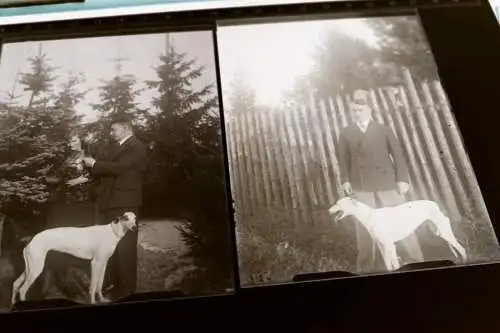 drei tolle alte Glasnegative - Frau und Mann mit Hund , Windhund ? Whippet ?