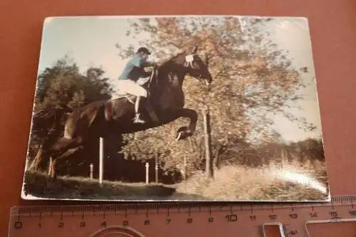 tolles altes Foto - Springreiter im Sprung - Pferd Sprung - 1962