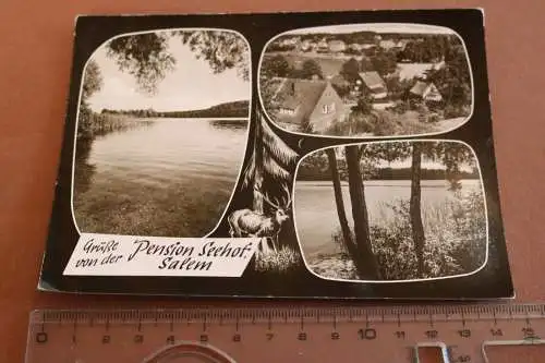 tolle alte Karte - Pension Seehof - Salem - 1966