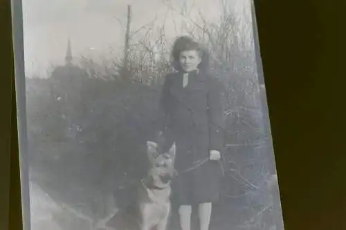 zwei tolle alte Negative - zwei BDM Mädels - Schäferhund 